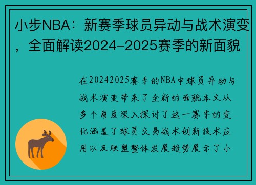 小步NBA：新赛季球员异动与战术演变，全面解读2024-2025赛季的新面貌
